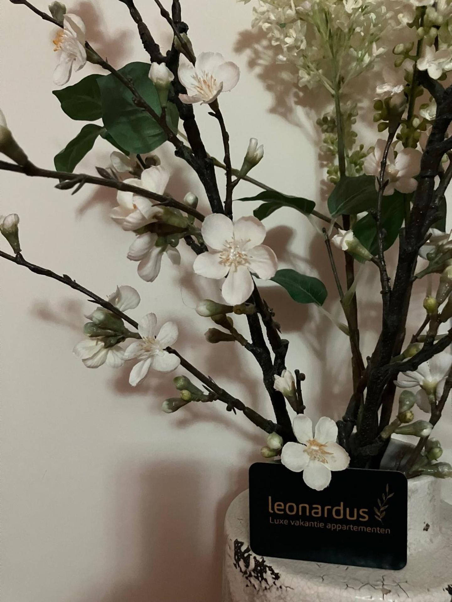 Luxe Appartementen Leonardus Valkenburg aan de Geul Eksteriør billede